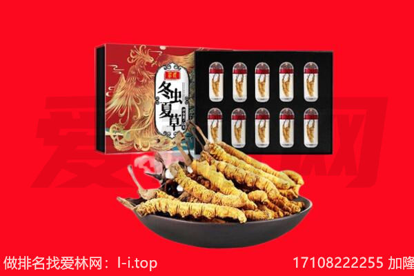 焦作市博爱回收虫草.jpg
